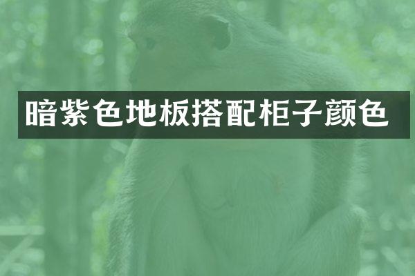 暗紫色地板搭配柜子颜色