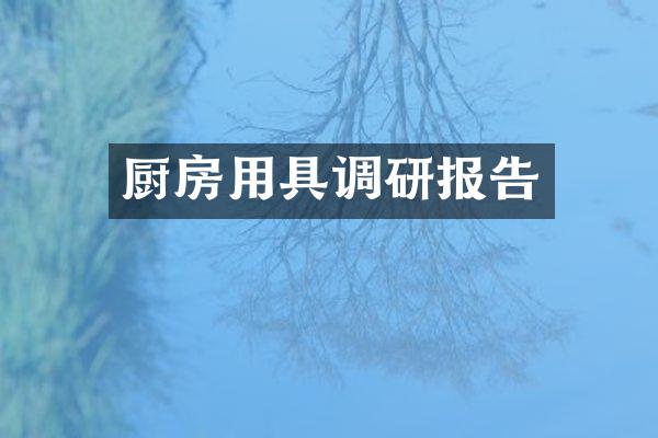 厨房用具调研报告