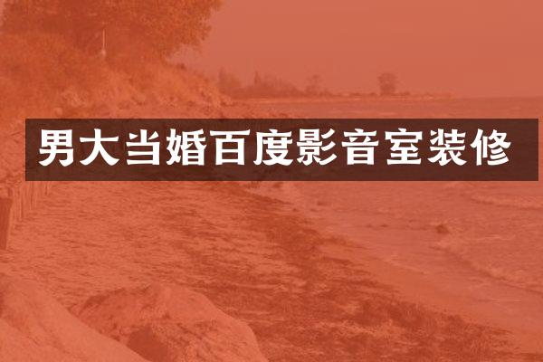 男大当婚百度影音室装修