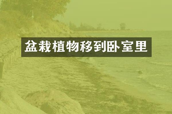 盆栽植物移到卧室里