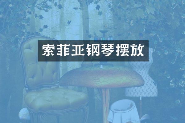 索菲亚钢琴摆放