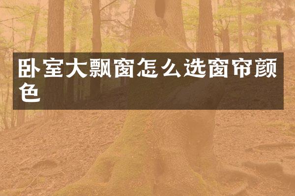卧室大飘窗怎么选窗帘颜色
