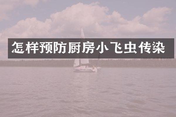 怎样预防厨房小飞虫传染