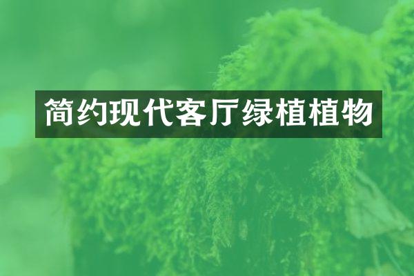 简约现代客厅绿植植物