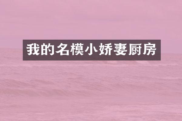 我的名模小娇妻厨房