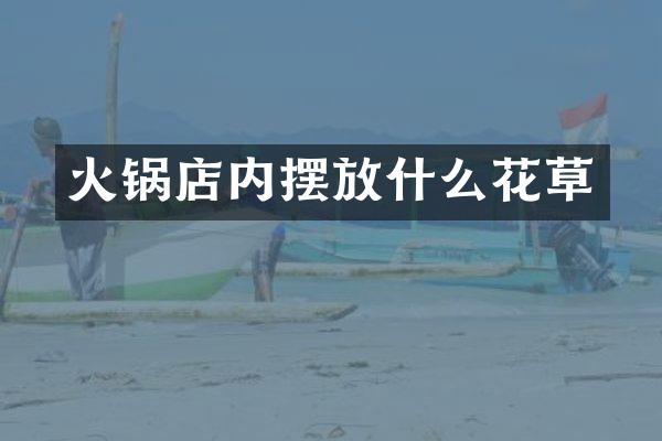 火锅店内摆放什么花草