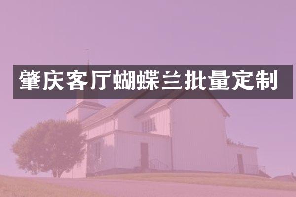 肇庆客厅蝴蝶兰批量定制