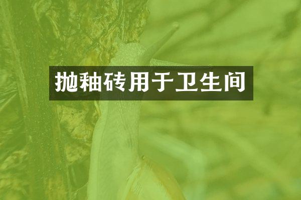 抛釉砖用于卫生间
