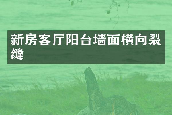 新房客厅阳台墙面横向裂缝