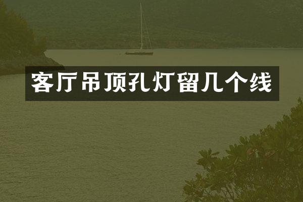 客厅吊顶孔灯留几个线