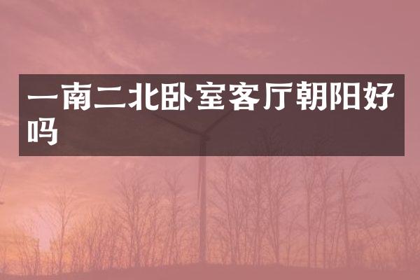 一南二北卧室客厅朝阳好吗