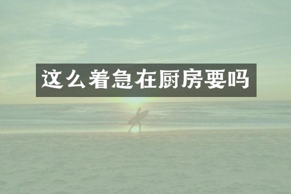 这么着急在厨房要吗