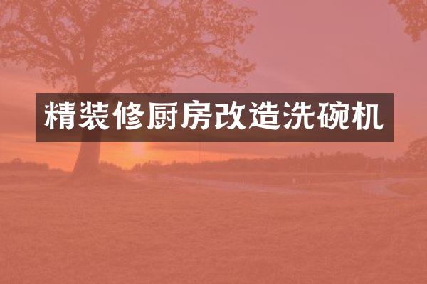 精装修厨房改造洗碗机