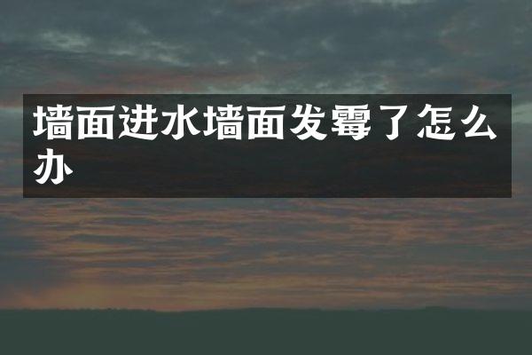 墙面进水墙面发霉了怎么办