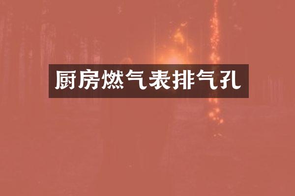 厨房燃气表排气孔