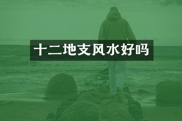 十二地支风水好吗