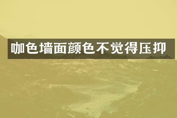 咖色墙面颜色不觉得压抑