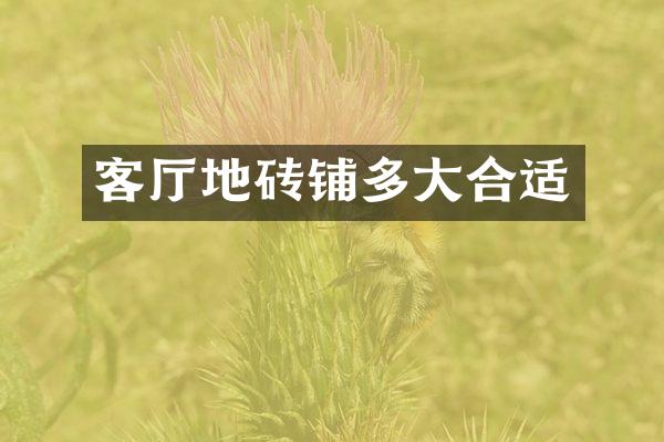 客厅地砖铺多大合适