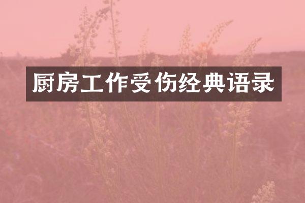 厨房工作受伤经典语录