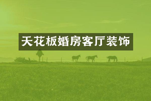 天花板婚房客厅装饰