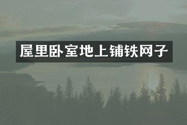 屋里卧室地上铺铁网子