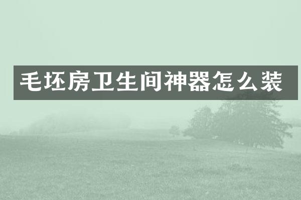 毛坯房卫生间神器怎么装