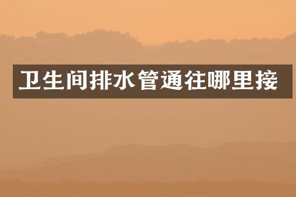 卫生间排水管通往哪里接