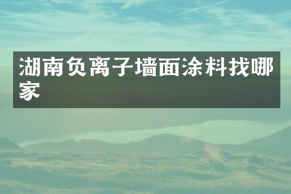 湖南负离子墙面涂料找哪家