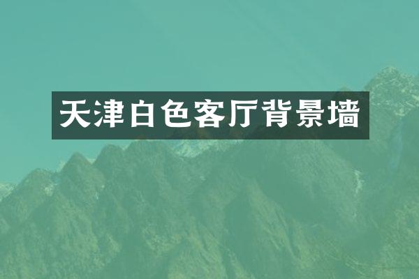 天津白色客厅背景墙