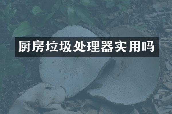 厨房垃圾处理器实用吗