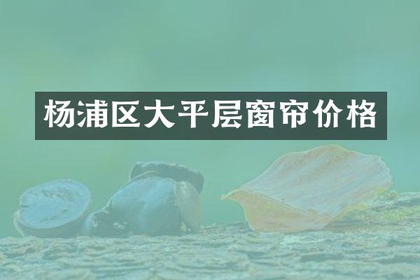 杨浦区大平层窗帘价格