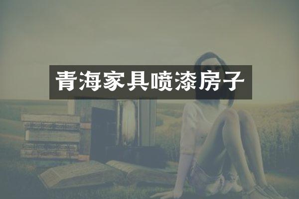 青海家具喷漆房子
