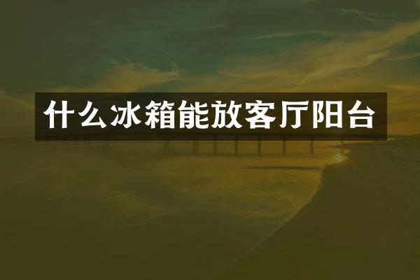 什么冰箱能放客厅阳台