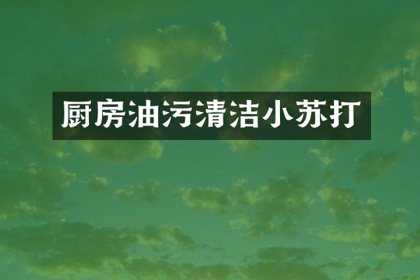 厨房油污清洁小苏打