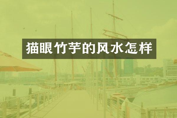 猫眼竹芋的风水怎样