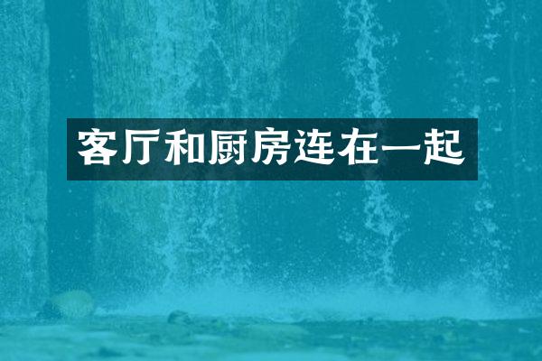 客厅和厨房连在一起
