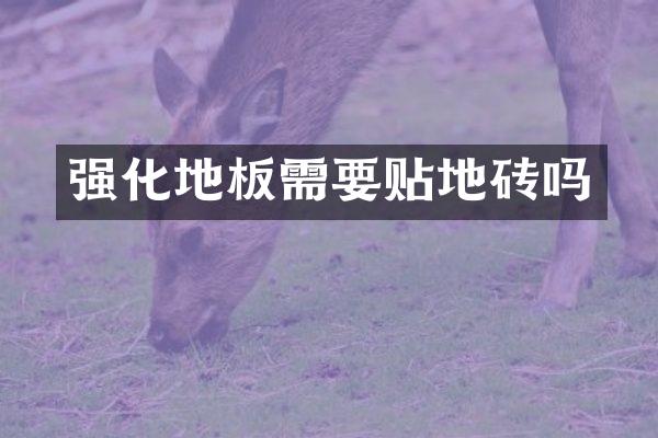 强化地板需要贴地砖吗