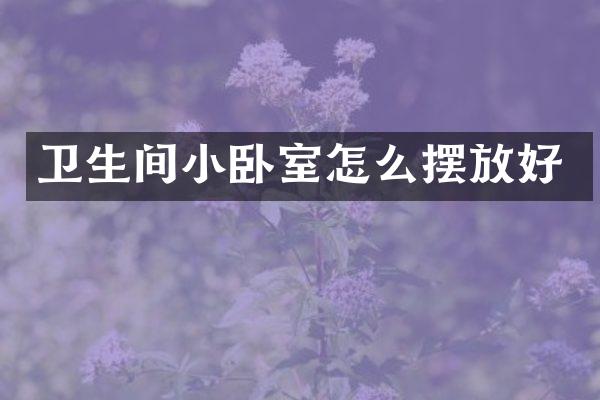 卫生间小卧室怎么摆放好