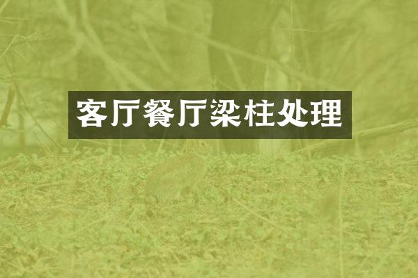 客厅餐厅梁柱处理
