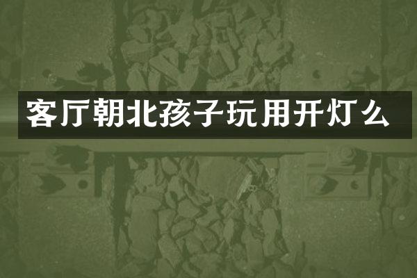 客厅朝北孩子玩用开灯么