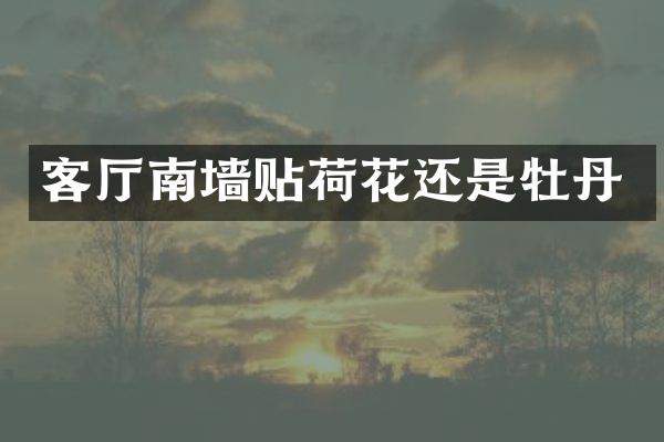 客厅南墙贴荷花还是牡丹