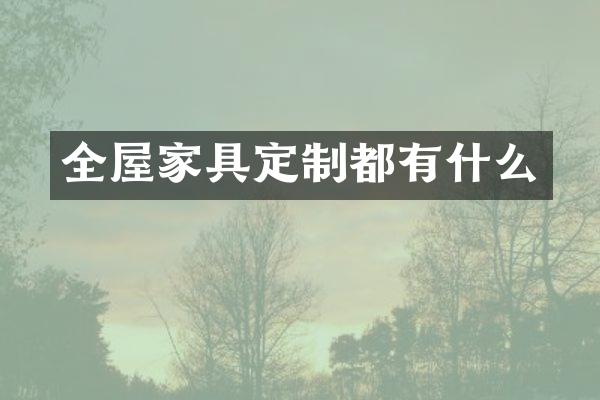 全屋家具定制都有什么