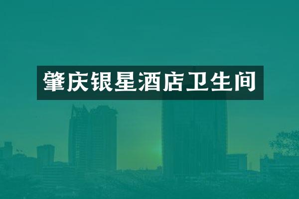 肇庆银星酒店卫生间