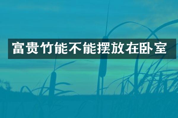 富贵竹能不能摆放在卧室