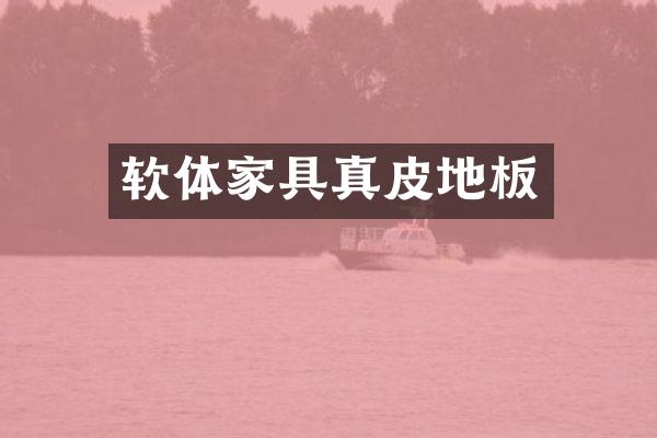 软体家具真皮地板