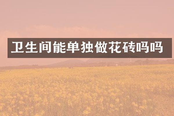 卫生间能单独做花砖吗吗