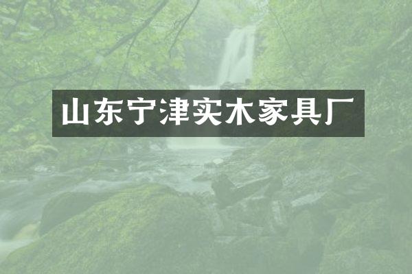 山东宁津实木家具厂