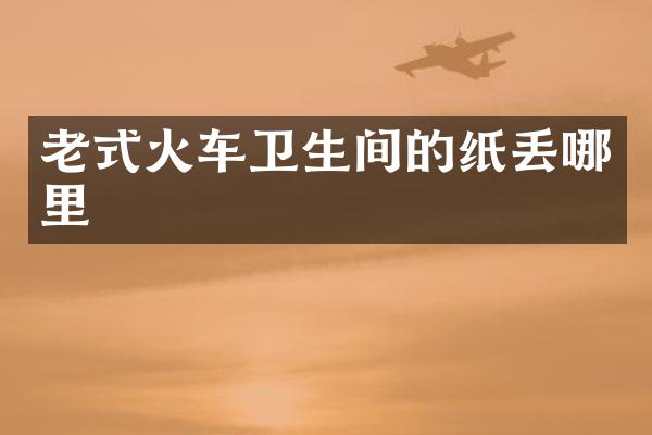 老式火车卫生间的纸丢哪里