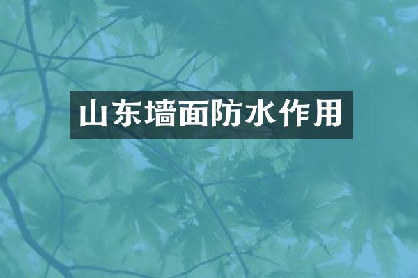 山东墙面防水作用