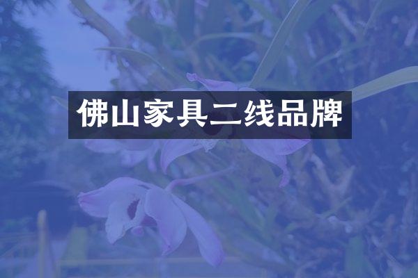 佛山家具二线品牌